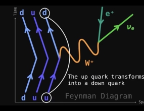 Feynman Diagrams: Beta Decay Equations Feynman Diagrams: Beta Decay Equations