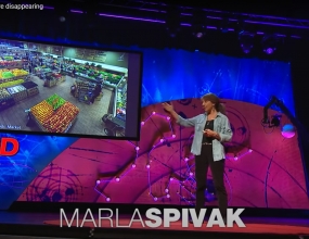 Marla Spivak: Why bees are disappearing Marla Spivak: Why bees are disappearing